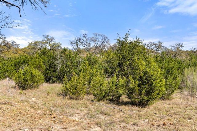 Lot 19 Stone Ridge Mountain DR, Round Mountain, TX 78663