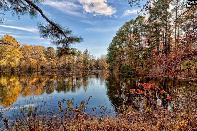 445 Westwoods Drive, Chapin, SC 29036