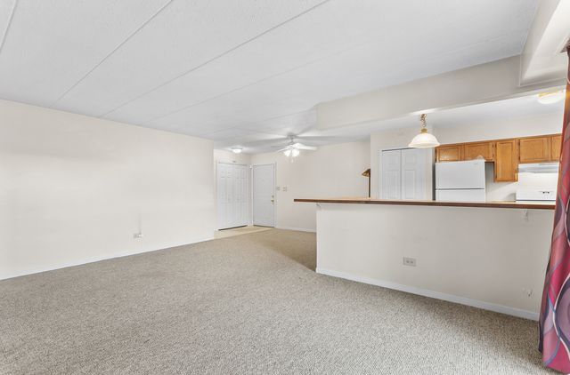 18302 Robin Lane D1, Homewood, IL 60430