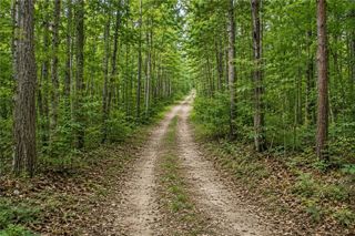 Lot 26 Waldrip Road, Dawsonville, GA 30534