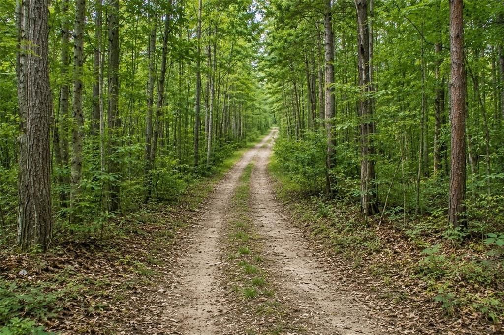 Lot 26 Waldrip Road, Dawsonville, GA 30534
