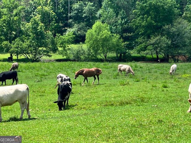 0 Freeman View Trail LOT 2, Cleveland, GA 30528