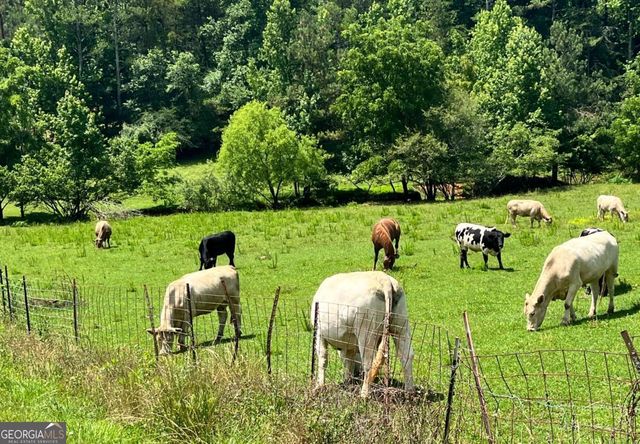 0 Freeman View Trail LOT 2, Cleveland, GA 30528