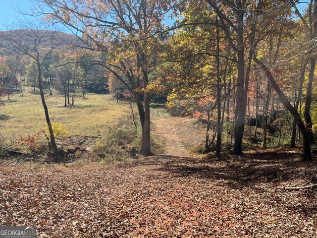 0 Freeman View Trail LOT 2, Cleveland, GA 30528