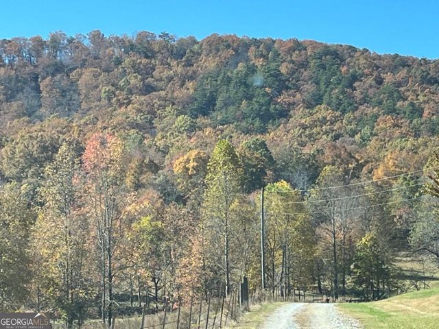 0 Freeman View Trail LOT 2, Cleveland, GA 30528