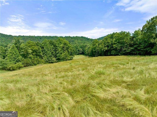0 Freeman View Trail LOT 2, Cleveland, GA 30528