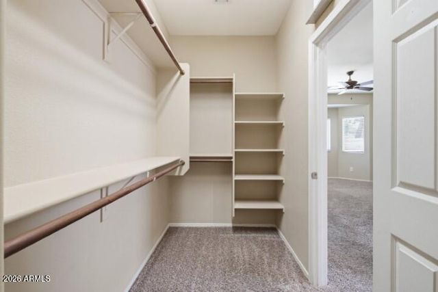 13755 W MONTEREY Way, Avondale, AZ 85392