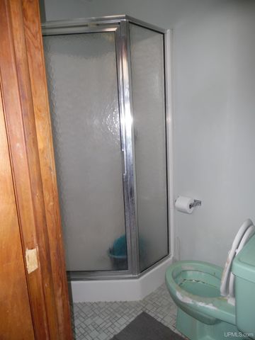 46 Stanton Avenue, South Range, MI 49963