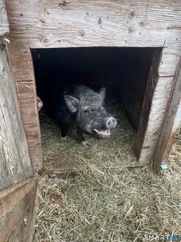 330 Ledge Drive, Torrington, CT 06790