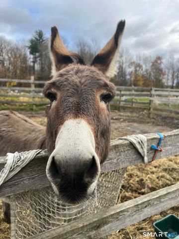 330 Ledge Drive, Torrington, CT 06790