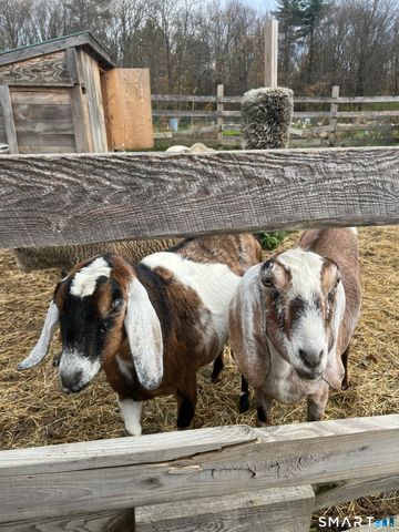 330 Ledge Drive, Torrington, CT 06790