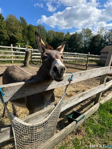 330 Ledge Drive, Torrington, CT 06790