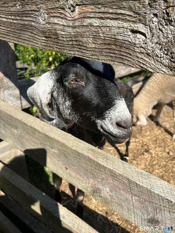 330 Ledge Drive, Torrington, CT 06790