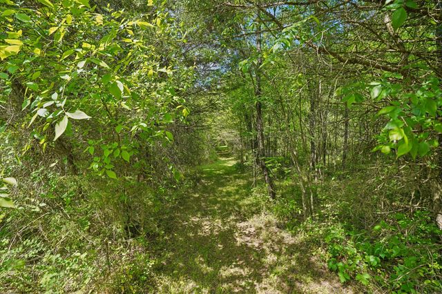 4844 Coleman Hill Rd, Rockvale, TN 37153