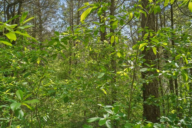 4844 Coleman Hill Rd, Rockvale, TN 37153