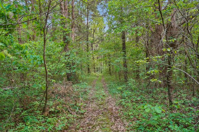 4844 Coleman Hill Rd, Rockvale, TN 37153