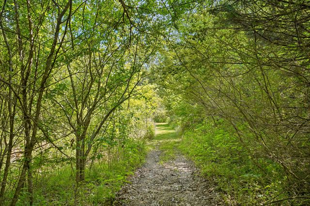 4844 Coleman Hill Rd, Rockvale, TN 37153