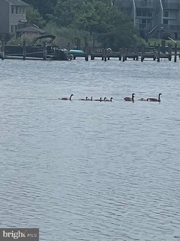 241 JESSICA LYNN AVE, Stevensville, MD 21666