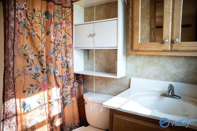 379 County Road 246, Geraldine, AL 35974