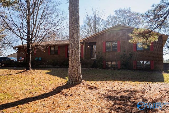 379 County Road 246, Geraldine, AL 35974