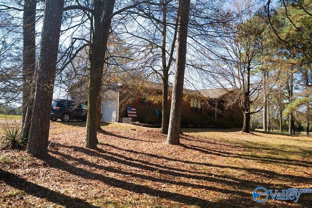 379 County Road 246, Geraldine, AL 35974