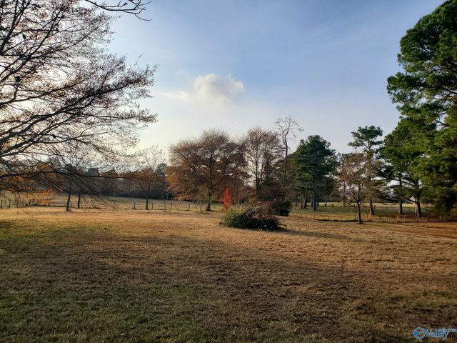 379 County Road 246, Geraldine, AL 35974