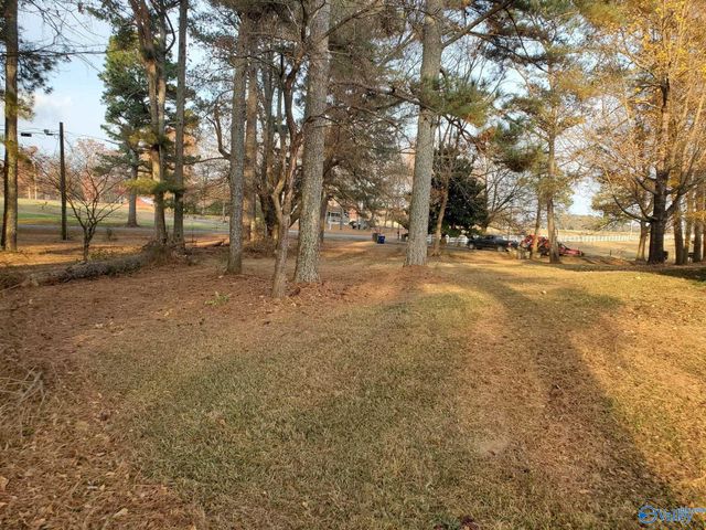 379 County Road 246, Geraldine, AL 35974