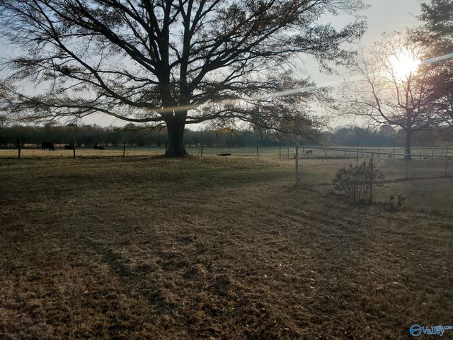 379 County Road 246, Geraldine, AL 35974