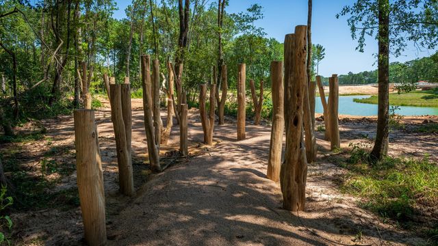 9604 Mount Brewer Lane, Porter, TX 77365