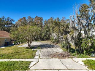 1323 BAYTHORN DRIVE, Wesley Chapel, FL 33543