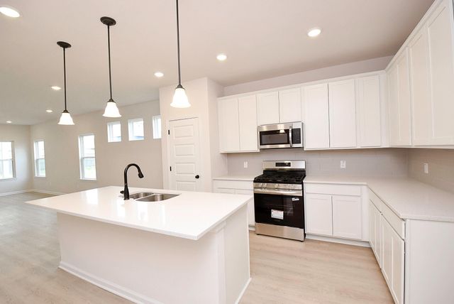 8302 Red Shiner Way, Fulshear, TX 77441