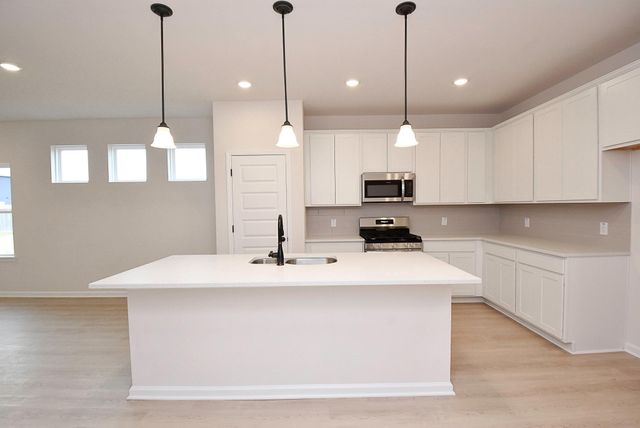 8302 Red Shiner Way, Fulshear, TX 77441