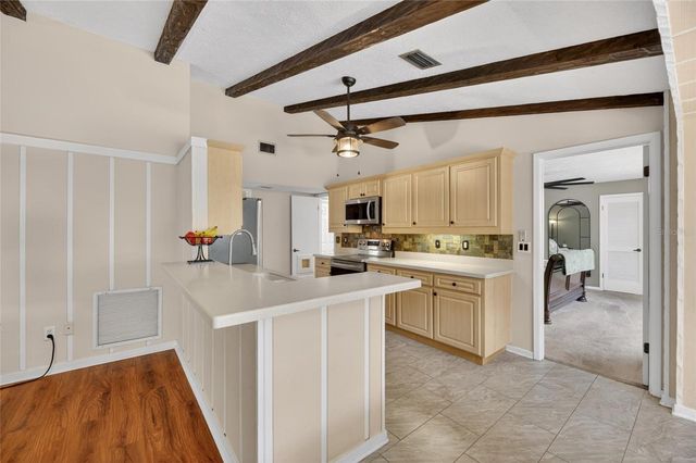 4205 BROOKE DRIVE, Valrico, FL 33594