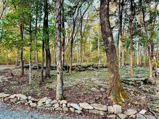 1150 Deer Run Rd, Murfreesboro, TN 37128