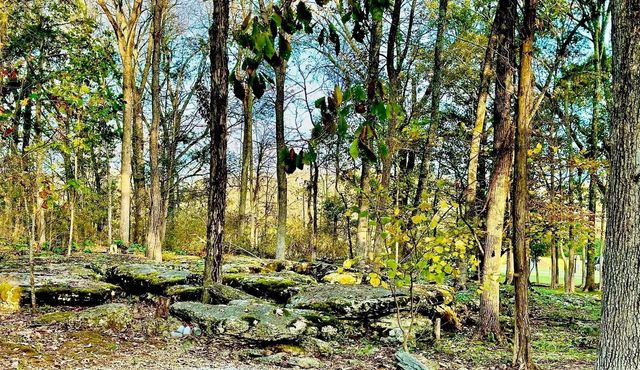 1150 Deer Run Rd, Murfreesboro, TN 37128