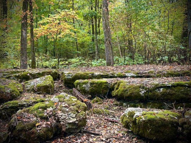 1150 Deer Run Rd, Murfreesboro, TN 37128