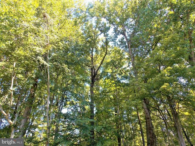 8072 GRANDVIEW CT, Springfield, VA 22153