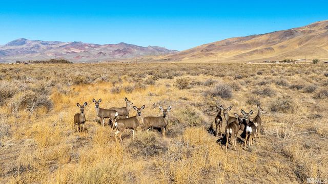 5555 Sage Flat Road, Reno, NV 89510