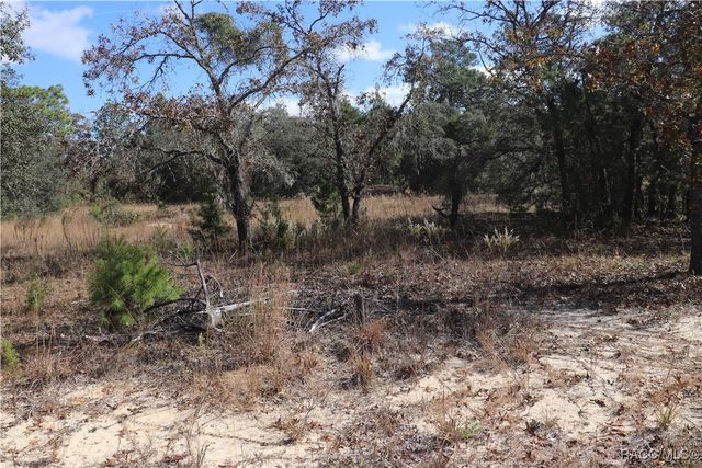 9097 N Peewee Point, Dunnellon, FL 34433