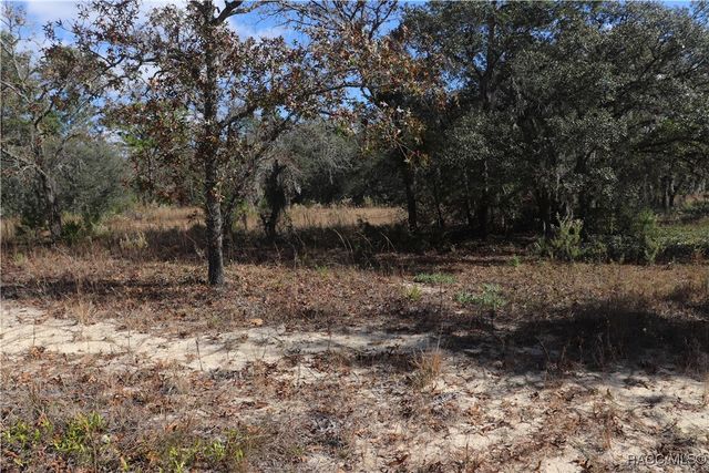 9097 N Peewee Point, Dunnellon, FL 34433