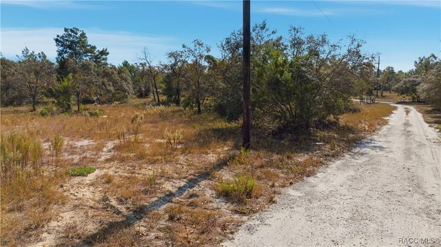 9097 N Peewee Point, Dunnellon, FL 34433