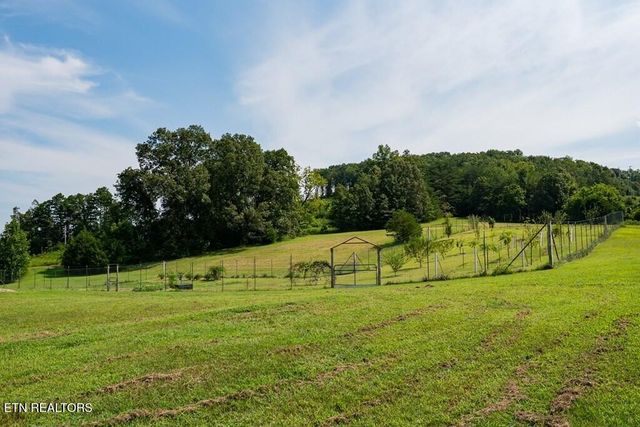 1518 Cummingsville And Sparkman Rd, Doyle, TN 38559