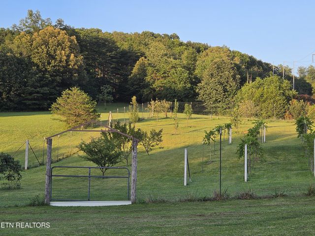 1518 Cummingsville And Sparkman Rd, Doyle, TN 38559