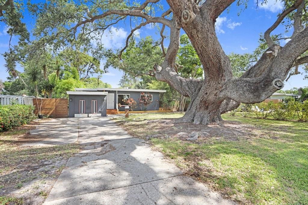 779 BAYOU BLVD S, St Petersburg, FL 33705