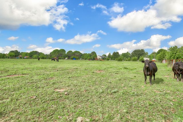 0 Palmer Lane, Oak Grove, TX 75142