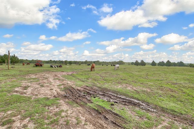 0 Palmer Lane, Oak Grove, TX 75142