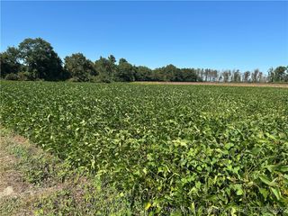 McQuage Road, Raeford, NC 28376