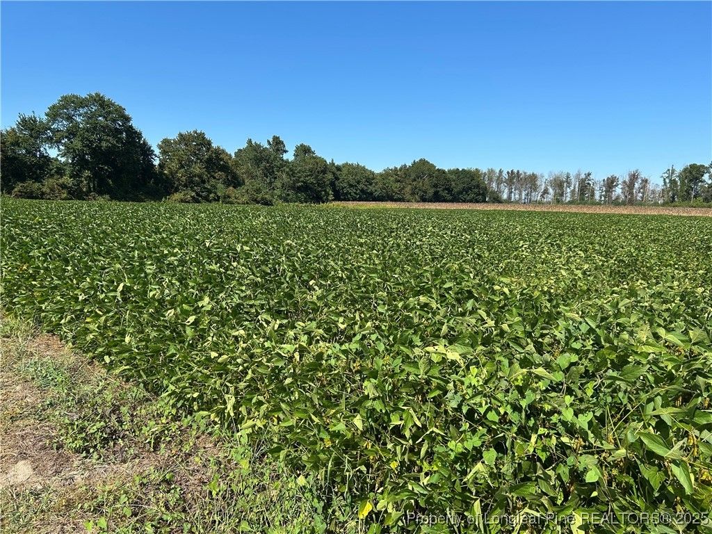 McQuage Road, Raeford, NC 28376