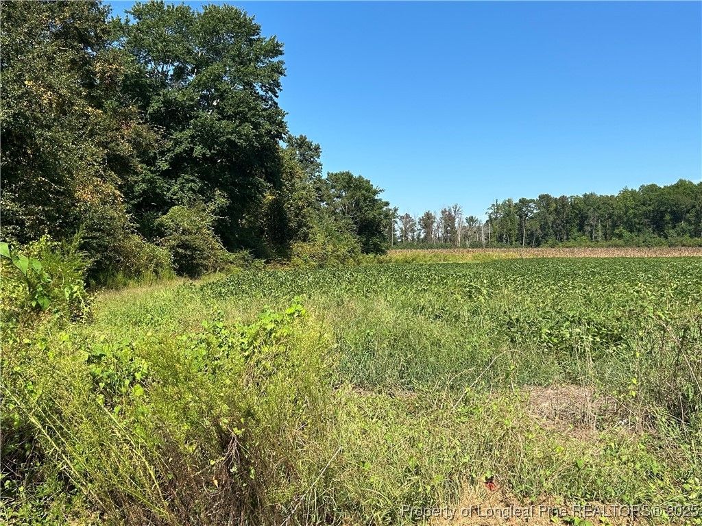 McQuage Road, Raeford, NC 28376 — photo 2