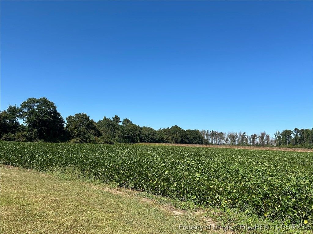 McQuage Road, Raeford, NC 28376 — photo 4